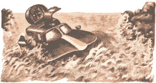 ВЛАДИМИР ФИРСОВ. БУХТА ОПАСНОЙ МЕДУЗЫ, #1